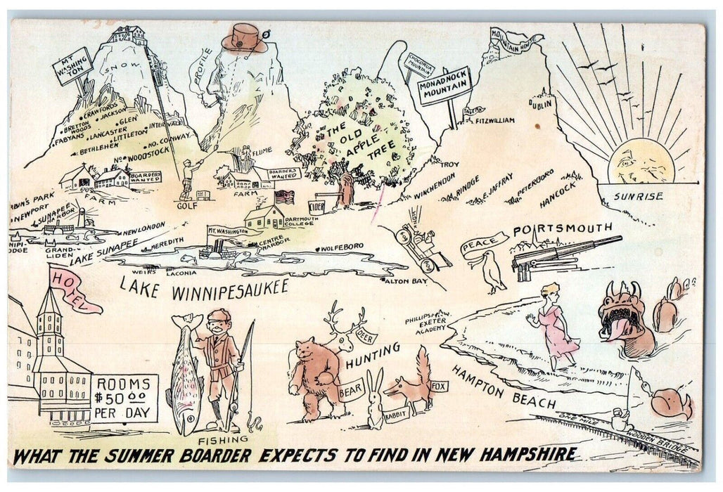 1910 What Summer Boarder Expects Find Lake Winnipesaukee New Hampshire Postcard