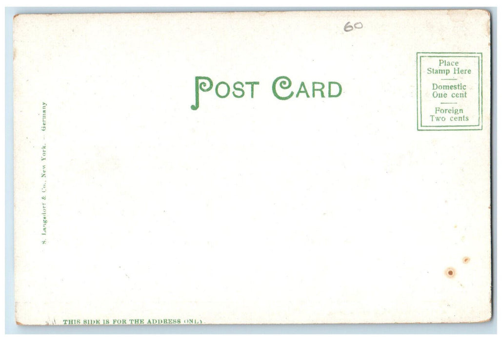 c1905 Mount Holyoke and Prospect House Northampton Massachusetts MA Postcard