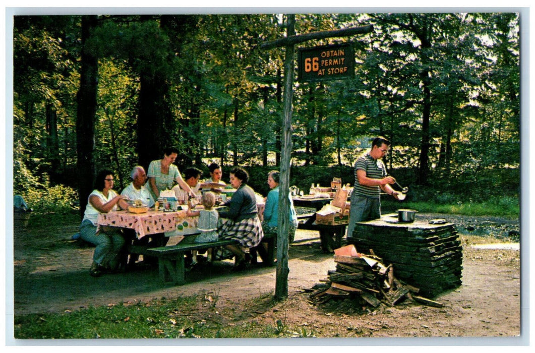 c1950's Picnicking at Look Park Northampton Massachusetts MA Postcard