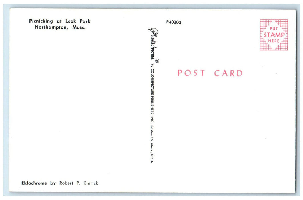 c1950's Picnicking at Look Park Northampton Massachusetts MA Postcard