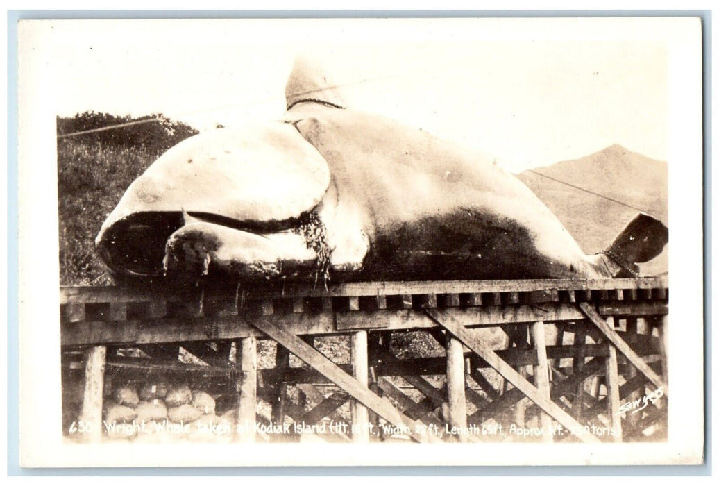 Wright Whale Kodiak Island Alaska AK RPPC Photo Unposted Vintage Postcard