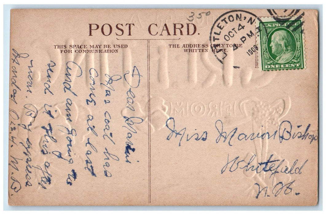 1909 Just A Greeting Littleton NH Violet Flowers Embossed Posted Postcard