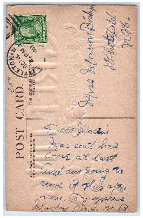 1909 Just A Greeting Littleton NH Violet Flowers Embossed Posted Postcard