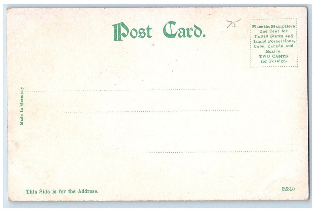 c1905 Thayer Library Keene New Hampshire NH Antique Unposted Postcard
