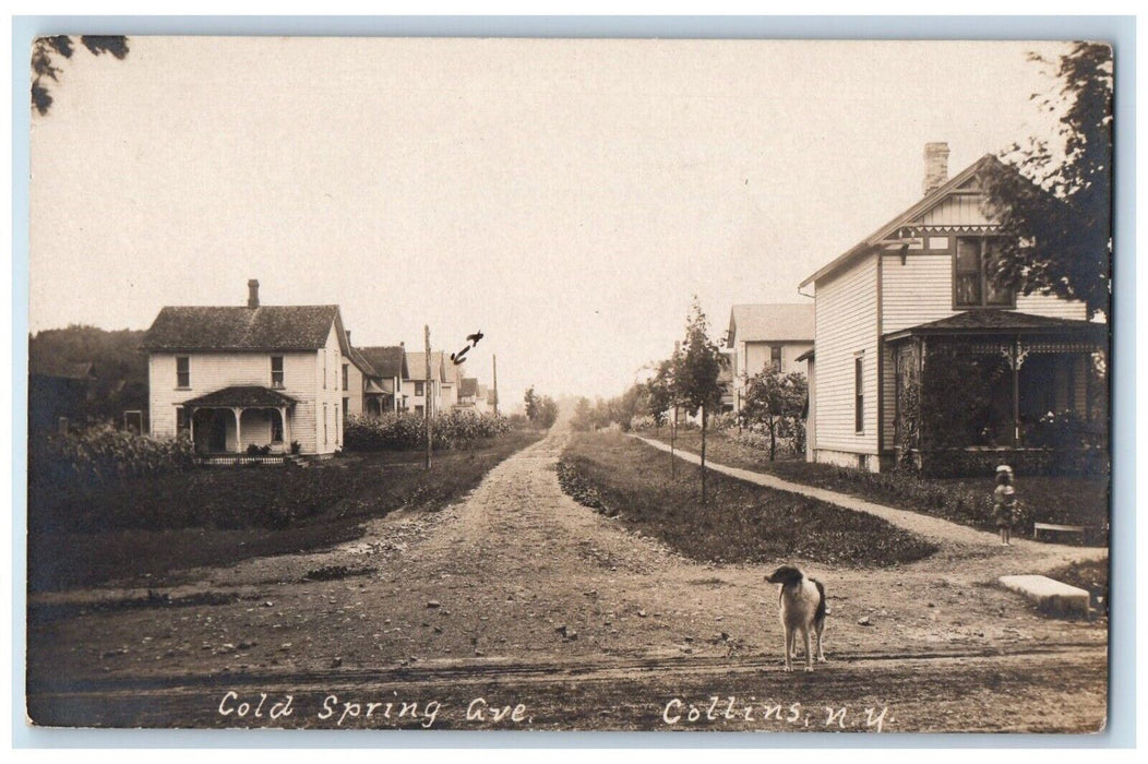 c1910's Cold Spring Avenue Border Collie Dog Collins NY RPPC Photo Postcard