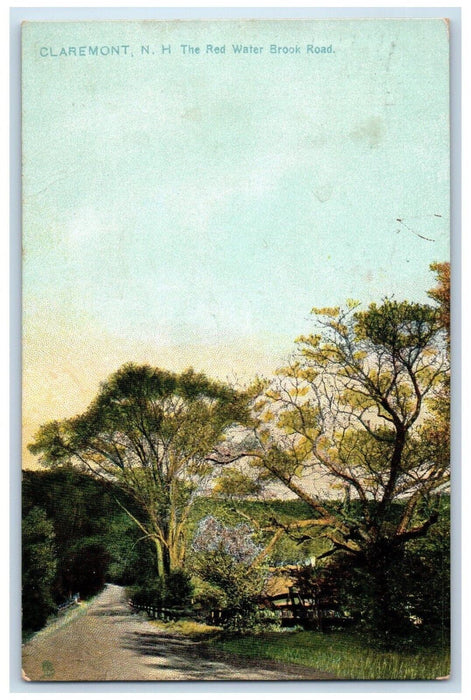 1909 Red Water Brook Road Trees Claremont New Hampshire Tucks Raphotype Postcard