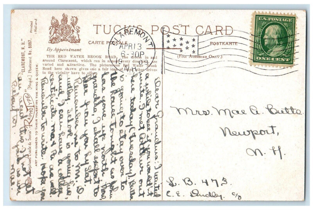 1909 Red Water Brook Road Trees Claremont New Hampshire Tucks Raphotype Postcard