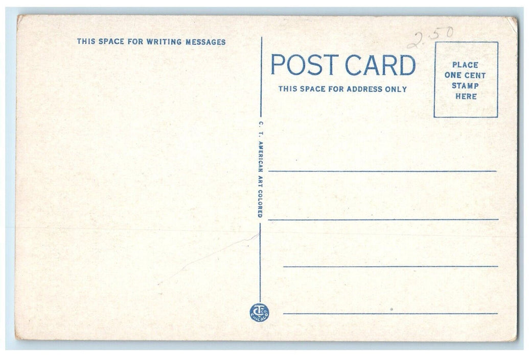 c1920 Lake Winnipesaukee White House Steamer Weirs New Hampshire NH Postcard