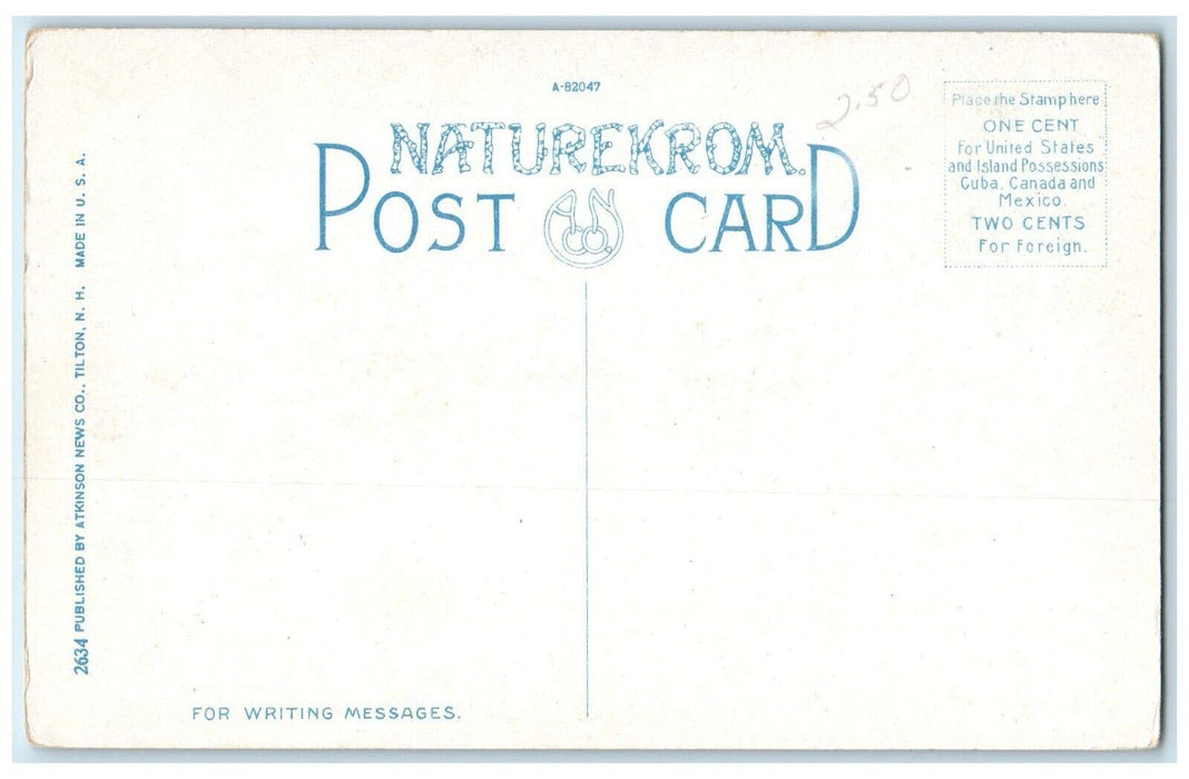 c1910 Kimballs Castle Lake Winnipesaukee New Hampshire NH Naturekrom Postcard
