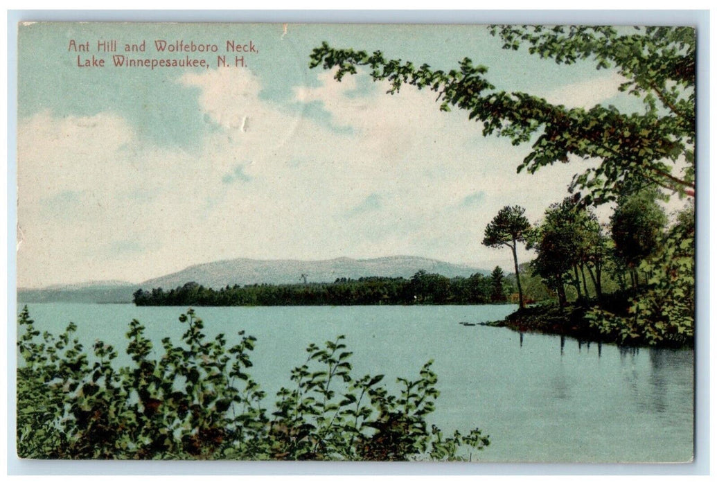 1910 Ant Hill & Wolfeboro Neck Lake Winnipesaukee New Hampshire NH Postcard