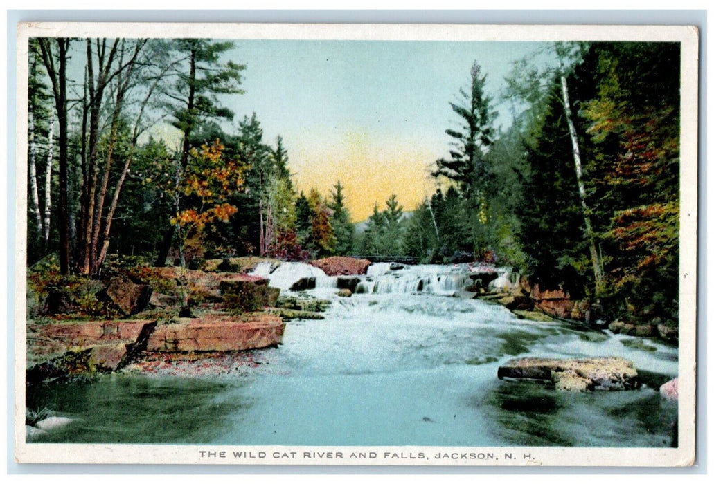 c1930's The Wild Cat River and Falls Jackson New Hampshire NH Vintage Postcard