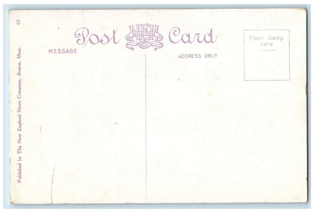 c1930's The Wild Cat River and Falls Jackson New Hampshire NH Vintage Postcard