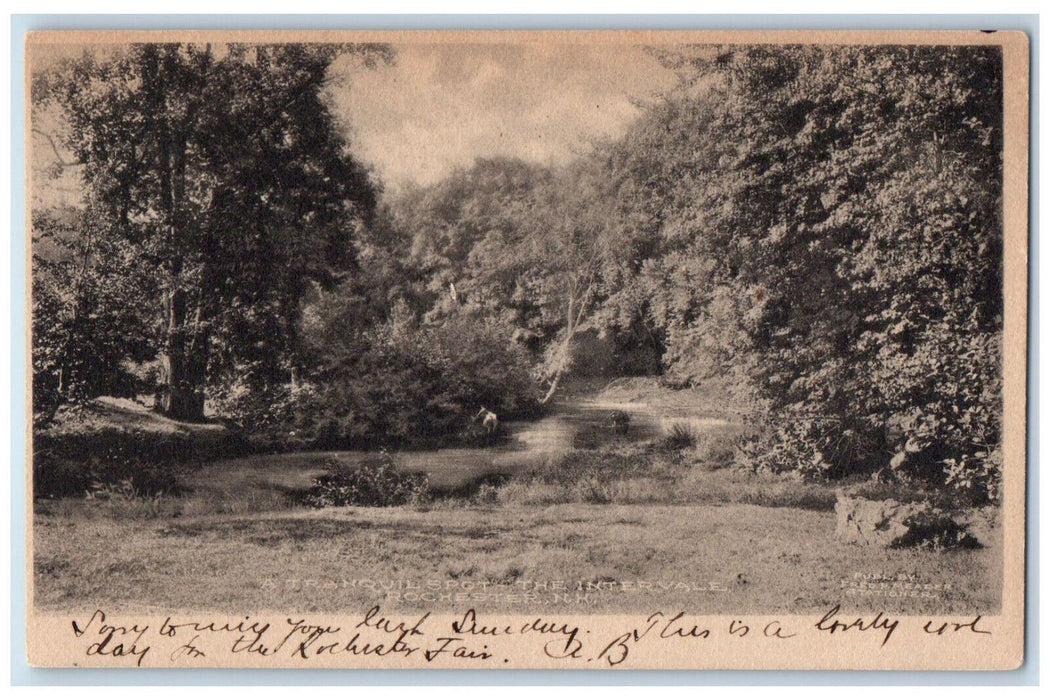 1907 A Tranquil Spot The Intervale Rochester New Hampshire NH Antique Postcard