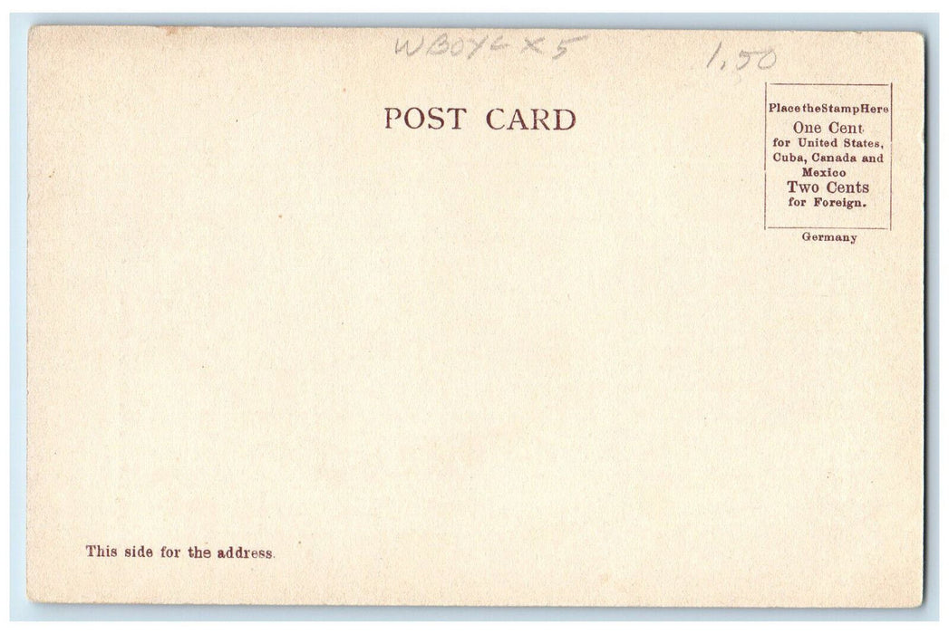 c1905 The Wizard Birch Intervale New Hampshire NH Antique Unposted Postcard