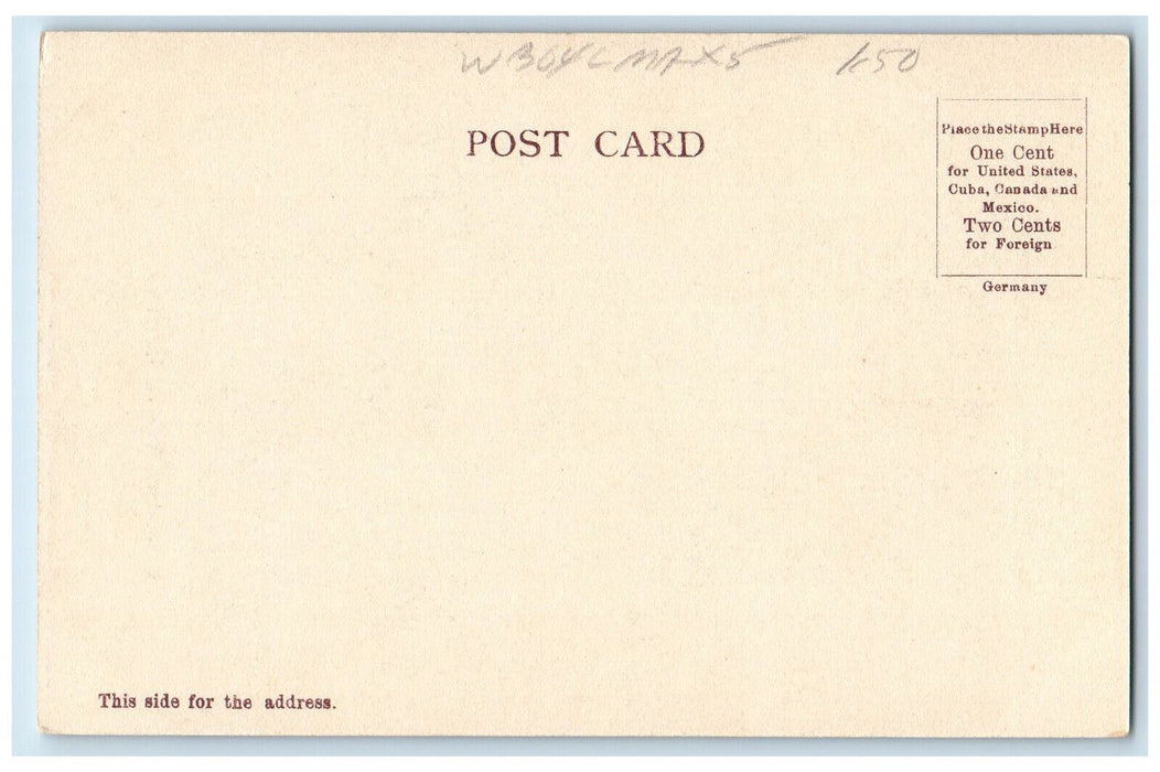 1907 Cathedral Woods Intervale New Hampshire NH Antique Unposted Postcard