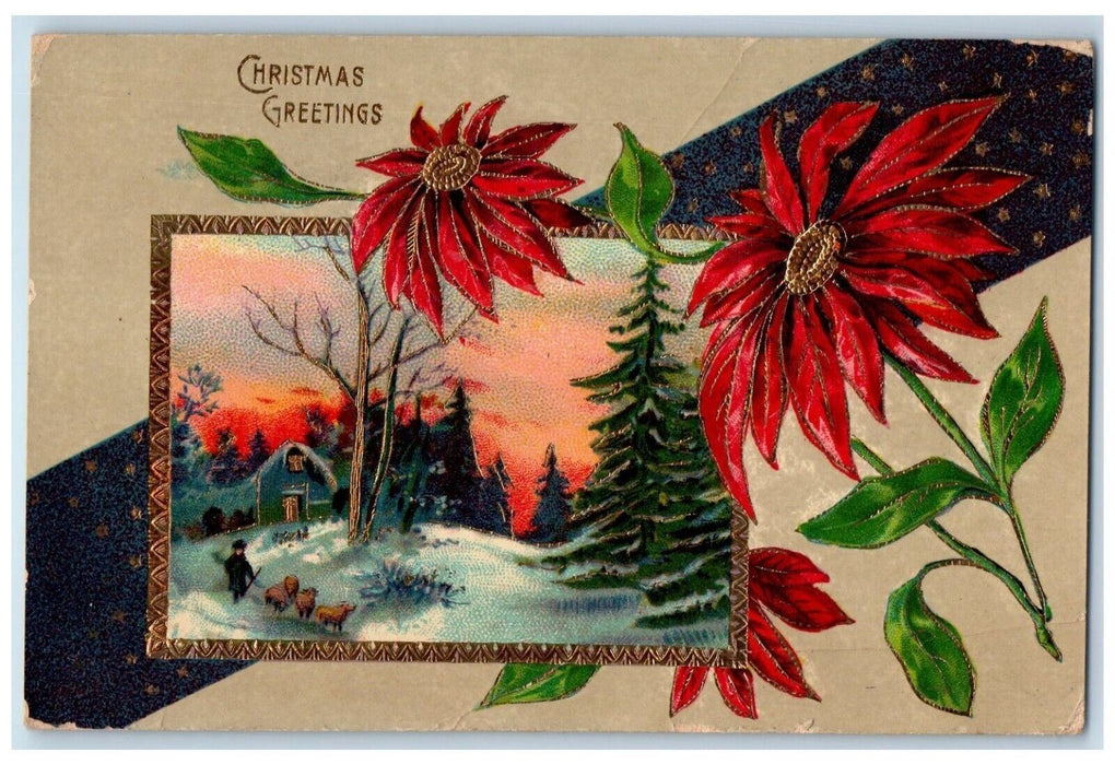 1912 Christmas Greetings Pointessia Flowers Pine Tree Gel Gold Gilt Postcard