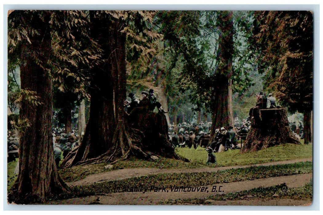 c1910 Stanley Park Vancouver British Columbia Canada CA Antique Vintage Postcard