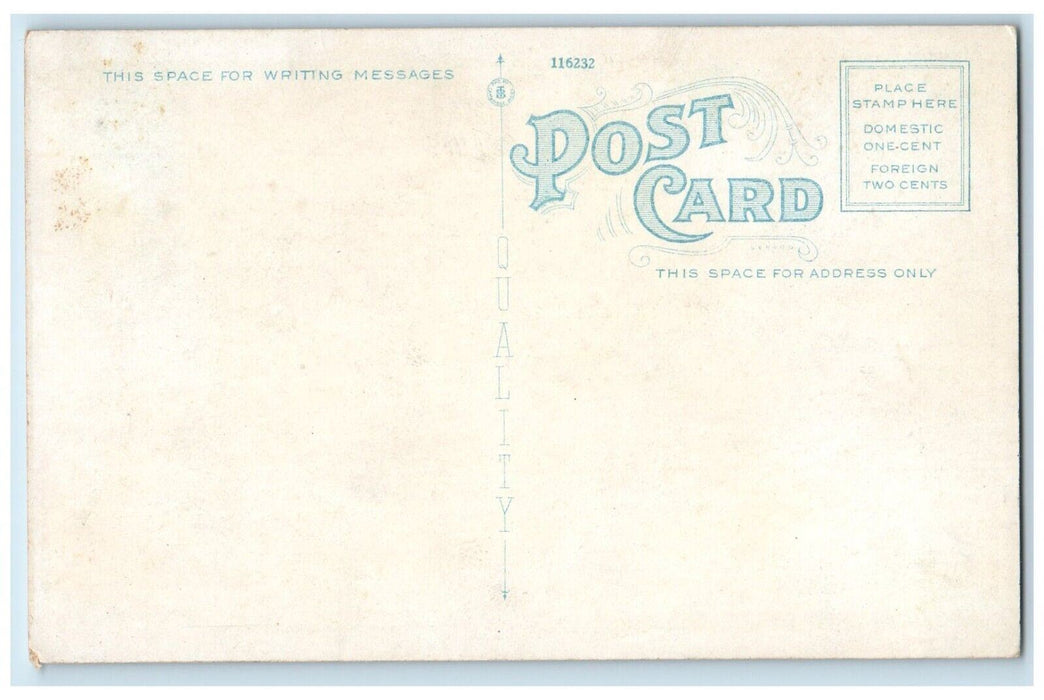 c1910 Swedish First Lutheran Church Chandler Street Jamestown New York Postcard