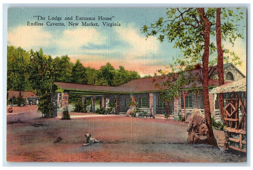 c1940 Lodge & Entrance House Endless Caverns New Market Virginia VA Postcard