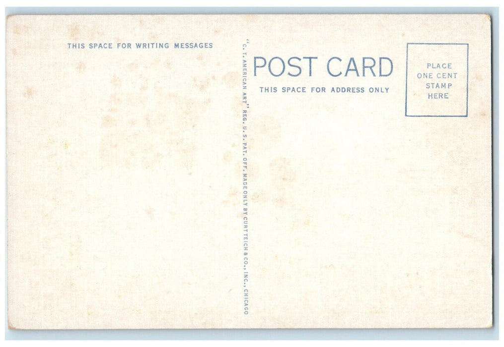 c1940 Johnstone Park Garden Flowers Bartlesville Oklahoma OK Vintage Postcard