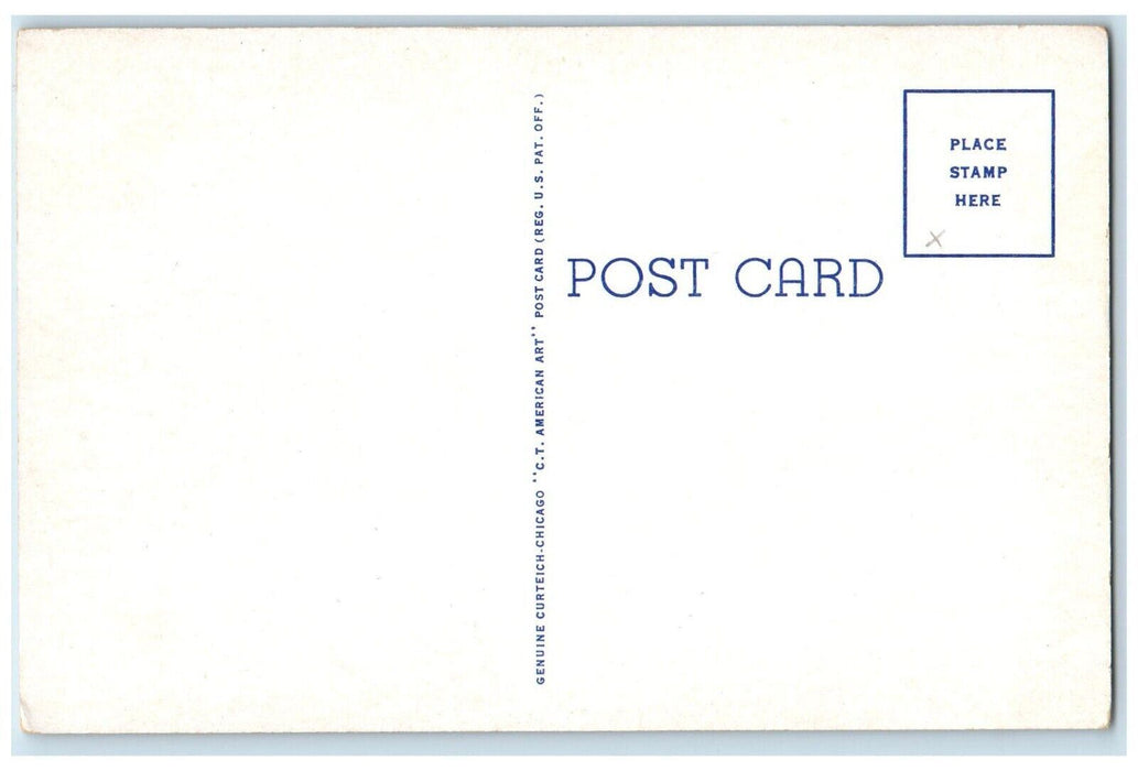 c1940 Hospital US Veterans Administration Center Trees Bath New York NY Postcard