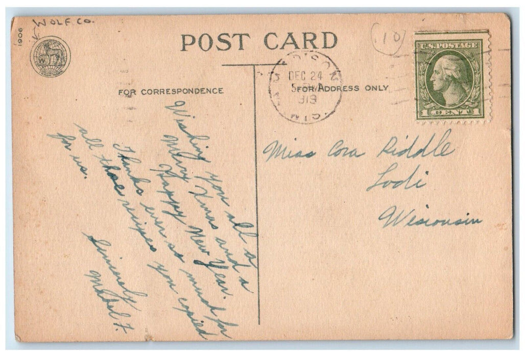 1919 Christmas Pointessia Flowers Pine Trees Winter Snow Bridge Wolf Co Postcard