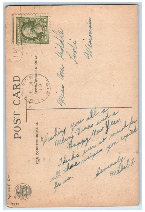 1919 Christmas Pointessia Flowers Pine Trees Winter Snow Bridge Wolf Co Postcard