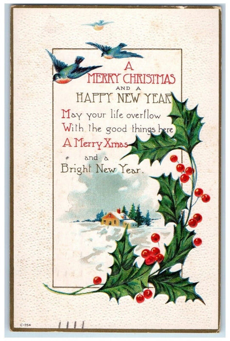 1919 Christmas Holly Berries Birds Winter Snow House Embossed Antique Postcard