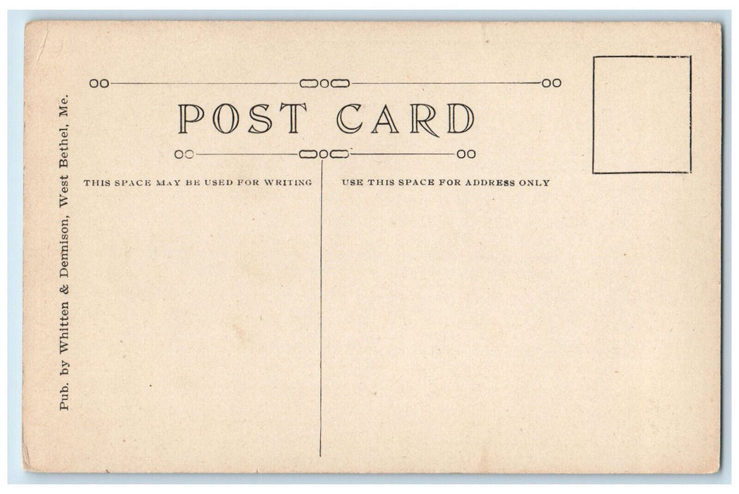 c1950's Glen Ellis Falls New Hampshire NH Whitten & Demison Vintage Postcard