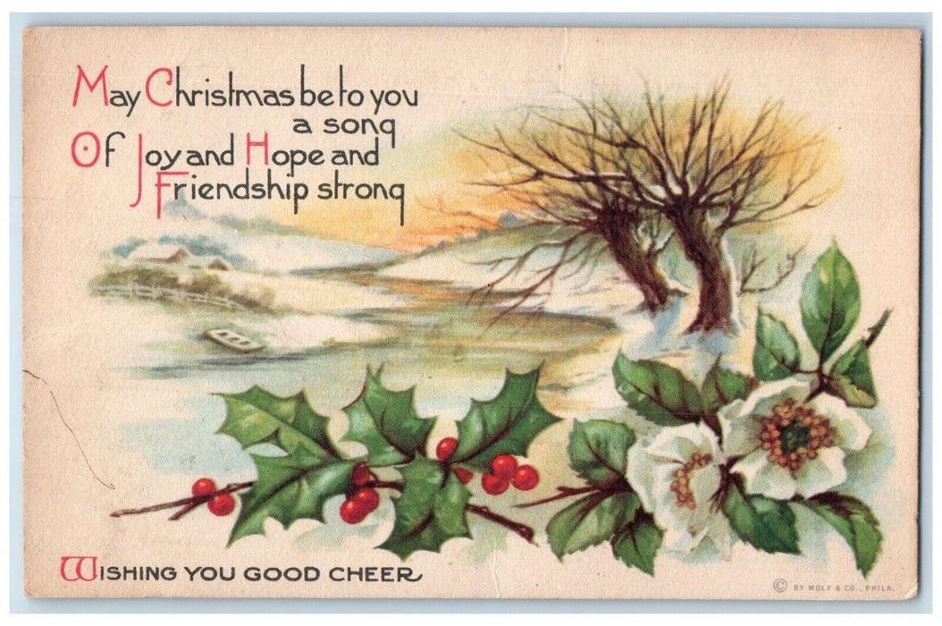 c1910's Christmas Holly White Flowers Winter Snow River Wolf Co. Posted Postcard