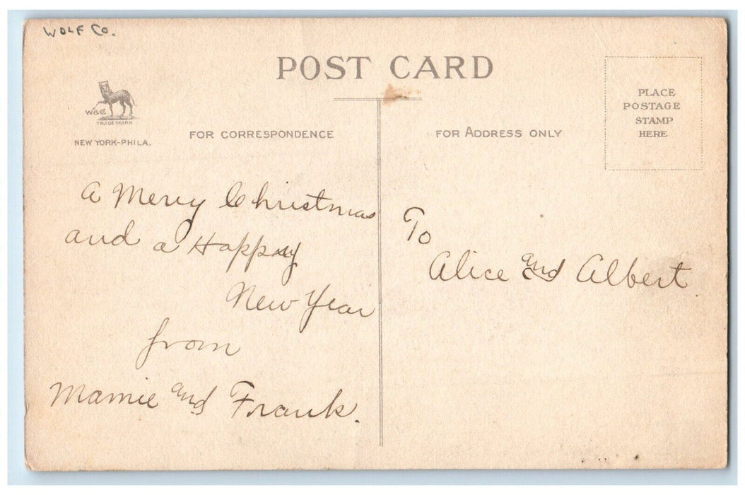 c1910's Christmas Holly White Flowers Winter Snow River Wolf Co. Posted Postcard