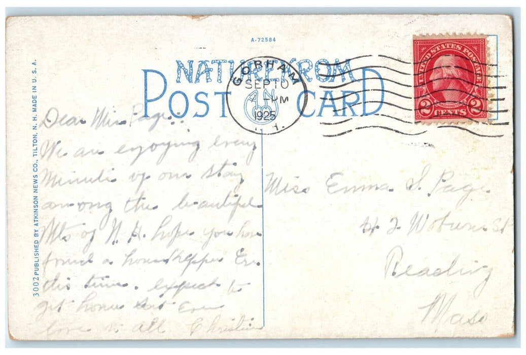 1925 Three Brothers Near Balsams Dixville Notch New Hampshire NH Postcard