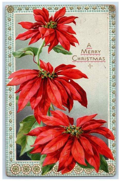 1911 Pointessia Flowers Christmas Peoria Illinois IL Tuck's Antique Postcard