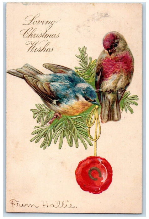 c1905 Christmas Wishes Song Birds Horseshoe Embossed Posted Antique Postcard