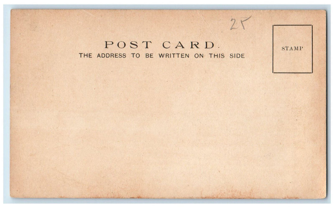 c1905 Mount Ascutney from Beriah Alden's Claremont New Hampshire NH Postcard