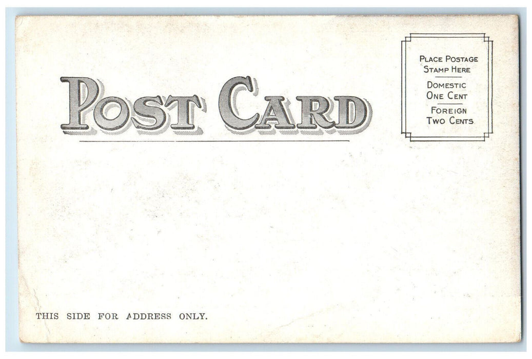 c1905 Mountain View The Ledges Newfound Lake Bristol New Hampshire NH Postcard
