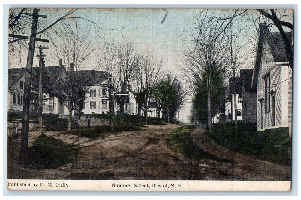 1908 Summer Street Bristol New Hampshire NH DM Cally Unposted Postcard