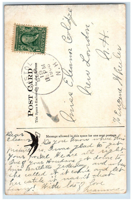 1908 Summer Street Bristol New Hampshire NH DM Cally Unposted Postcard