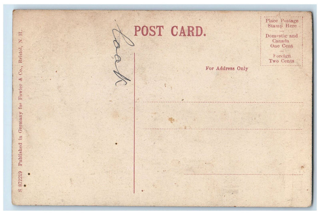 c1910 Mt. Cardigan & Newfound Lake Bristol New Hampshire NH Antique Postcard