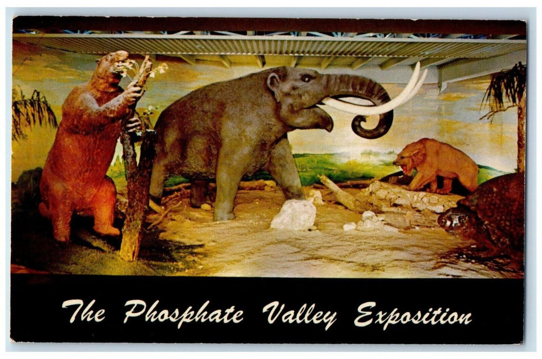 View Of The Phosphate Valley Exposition Bartow Florida FL Vintage Postcard