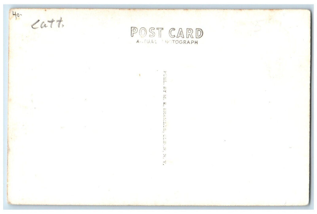 Panorama View Allegany Mountains Cattaraugus Olean NY RPPC Photo Postcard