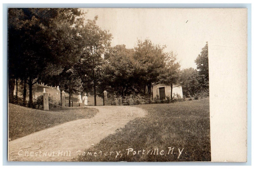 c1910's Chestnut Hill Cemetery Portville NY, Cattaraugus RPPC Photo Postcard