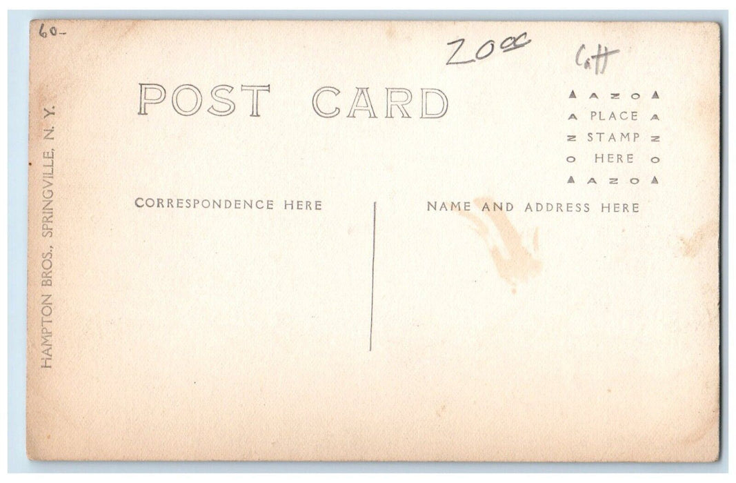 c1910's Main Street View Riceville New York NY, Cattaraugus RPPC Photo Postcard