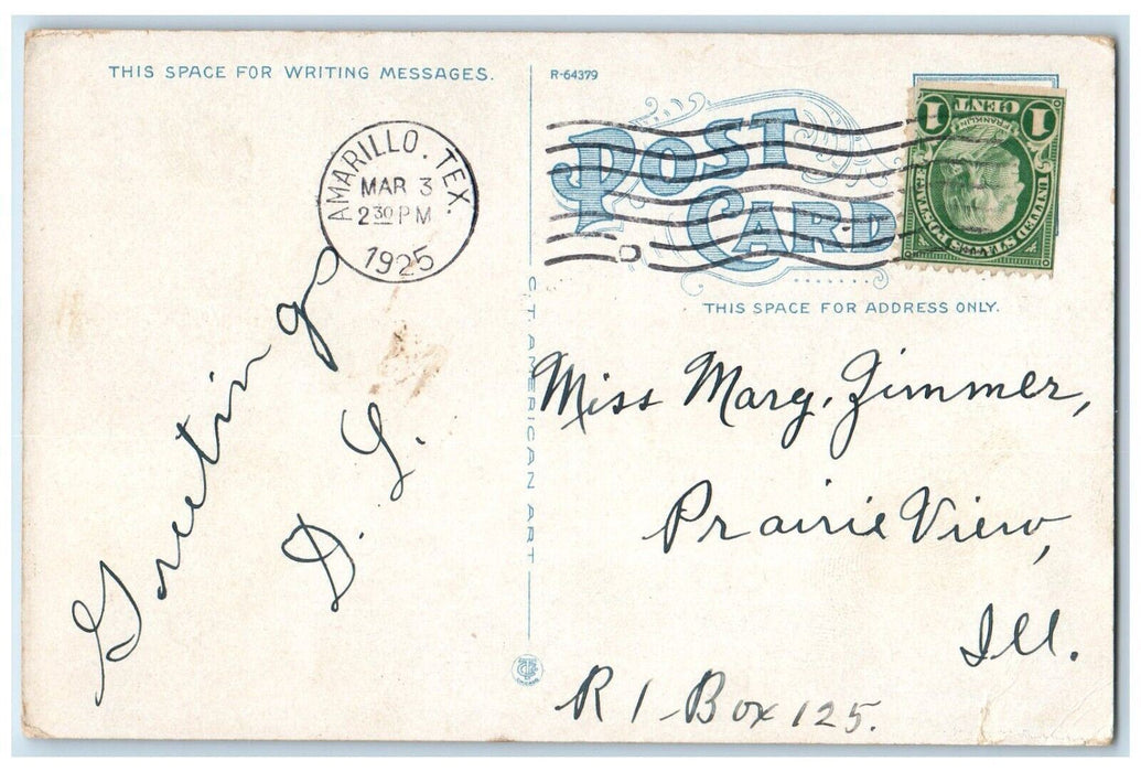 1925 St. Mary's Academy Building Street View Amarillo Texas TX Vintage Postcard