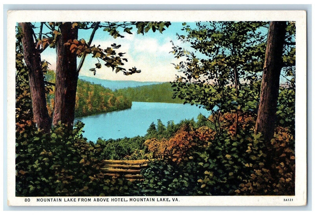 c1910 Mountain Lake Trees Above Hotel Mountain Lake Virginia VA Antique Postcard