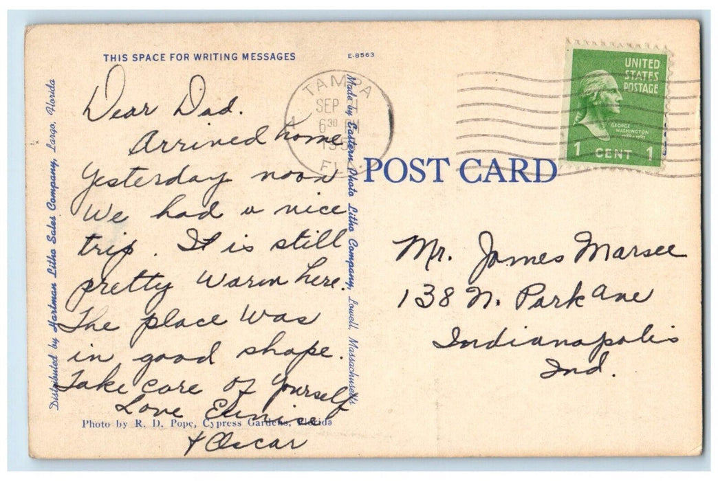 1950 Mountain Of Florida Breakfast Food With Vitamins Tampa Florida FL Postcard