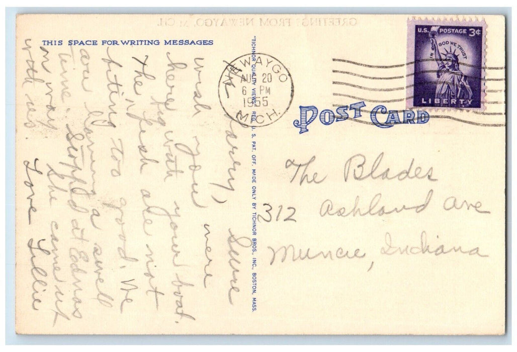 1955 Greetings From Newaygo Michigan MI, Sea View Boat Posted Vintage Postcard