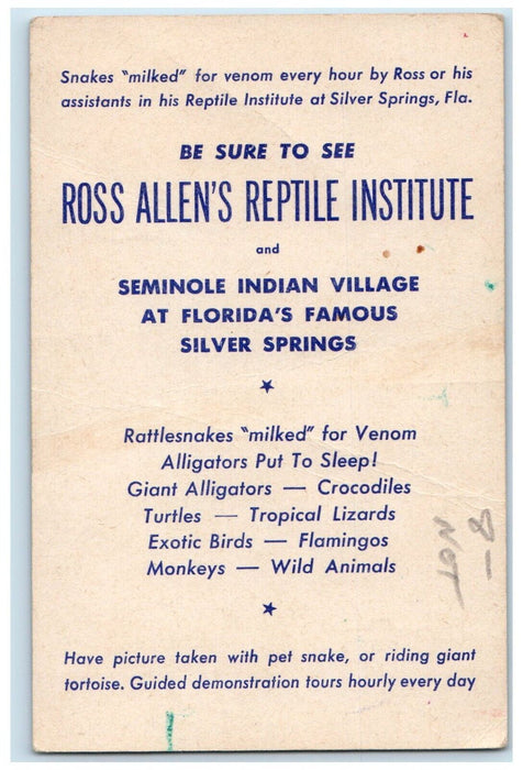 Ross Allen Diamond-Back Rattlesnake Reptile Institute Silver Springs FL Postcard