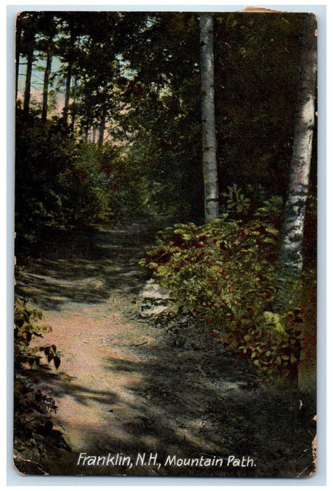 View Of Mountain Path Franklin New Hampshire NH Vintage Posted Postcard