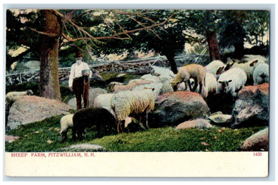 c1905's View Of Sheep Farm Fitzwilliam New Hampshire NH Antique Postcard